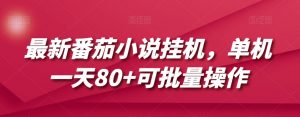 最新番茄小说挂机，单机一天80+可批量操作【揭秘】-沐风资源库