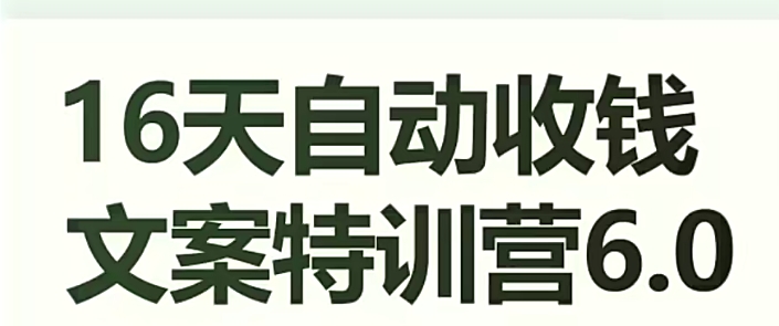 16天自动收钱文案特训营6.0，学会儿每天自动咔咔收钱-沐风资源库
