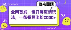 全网首发，慢开屏深情玩法，一条视频涨粉2000+【揭秘】-沐风资源库