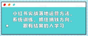 小红书实战落地运营方法，系统训练，抓住搞钱方向，跟有结果的人学习-沐风资源库