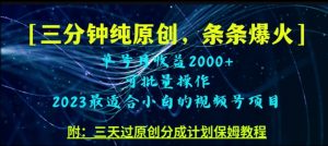 三分钟制作视频号纯原创，条条爆款，轻松月入过万【揭秘】-沐风资源库