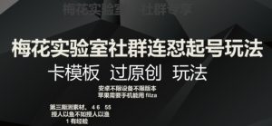 梅花实验室社群连怼起号玩法，卡模板过原创玩法【揭秘】-沐风资源库