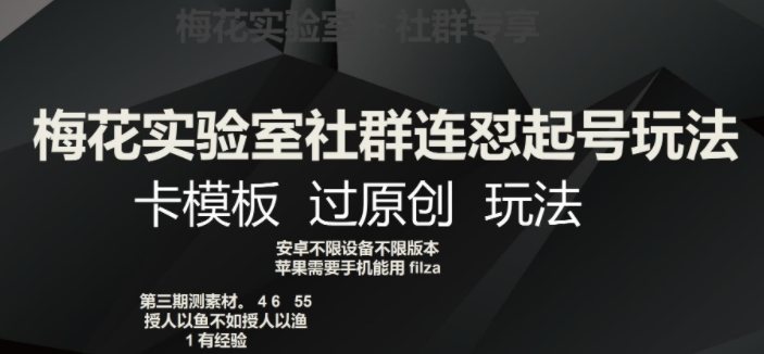 梅花实验室社群连怼起号玩法，卡模板过原创玩法【揭秘】-沐风资源库