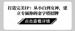 打造完美IP：从小白到女神，建立专属你的金字塔招牌-沐风资源库