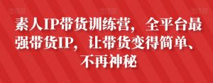 素人IP带货训练营，全平台最强带货IP，让带货变得简单、不再神秘-沐风资源库