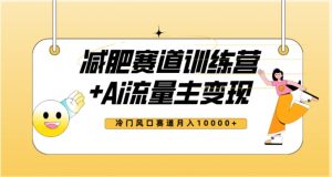 全新减肥赛道AI流量主+训练营变现玩法教程，蓝海冷门赛道小白轻松上手，月入10000+-沐风资源库