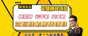 三端试玩挂机搬砖项目（模拟器+云手机+安卓机），单窗口试玩搬砖利润在30+到40+【揭秘】-沐风资源库