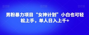 男粉暴力项目“女神计划”小白也可轻松上手，单人日入上千+【揭秘】-沐风资源库