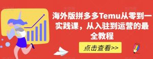 海外版拼多多Temu从零到一实践课，从入驻到运营的最全教程-沐风资源库