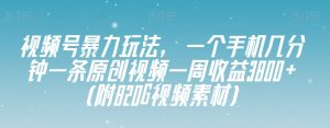 视频号暴力玩法，一个手机几分钟一条原创视频一周收益3800+（附820G视频素材）-沐风资源库