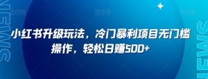 小淘项目专属付款链接-沐风资源库