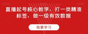 直播起号核心教学，打一类精准标签，做一级有效数据-沐风资源库