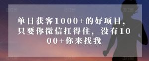 单日获客1000+的好项目，只要你微信扛得住，没有1000+你来找我【揭秘】-沐风资源库