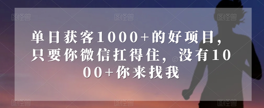 单日获客1000+的好项目，只要你微信扛得住，没有1000+你来找我【揭秘】-沐风资源库