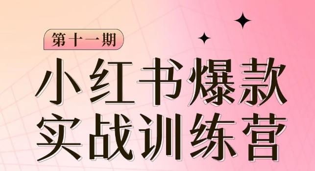 小红书博主爆款训练营第11期，手把手教你从0-1做小红书，从定位到起号到变现-沐风资源库