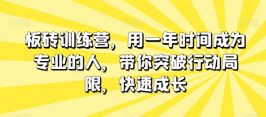 板砖训练营，用一年时间成为专业的人，带你突破行动局限，快速成长-沐风资源库