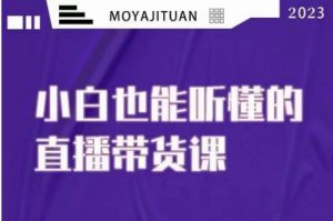 大威本威·能听懂的直播带货课,小白也能听懂,20节完整-沐风资源库