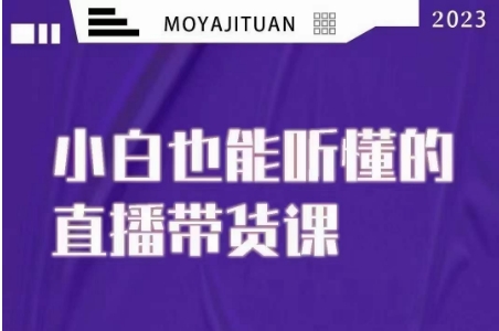 大威本威·能听懂的直播带货课,小白也能听懂,20节完整-沐风资源库