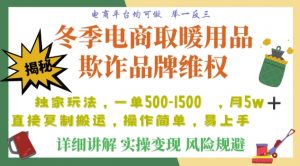 利用电商平台冬季销售取暖用品欺诈行为合理制裁店铺，单日入900+【仅揭秘】-沐风资源库