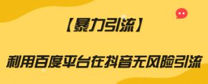 【暴力引流】利用百度平台在抖音无风险引流【揭秘】-沐风资源库