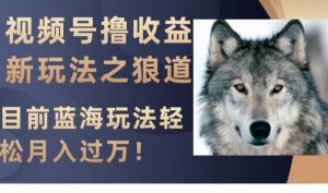 视频号撸收益新玩法之狼道，目前蓝海玩法，轻松月入过万【揭秘】-沐风资源库