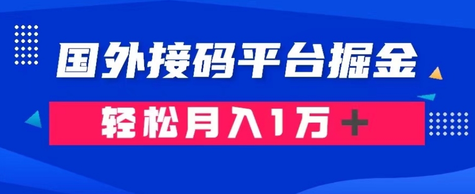 通过国外接码平台掘金：成本1.3，利润10＋，轻松月入1万＋【揭秘】-沐风资源库
