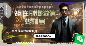 矩阵刷爆微信蝴蝶号创作者分成计划收益的新玩法，日入2000+【揭秘】-沐风资源库