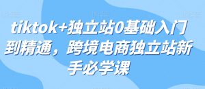tiktok+独立站0基础入门到精通，跨境电商独立站新手必学课-沐风资源库