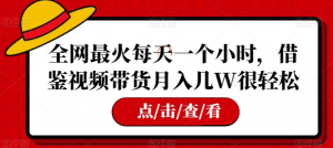 全网最火每天一个小时，借鉴视频带货月入几W很轻松【揭秘】-沐风资源库