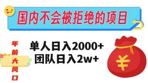 在国内不怕被拒绝的项目，单人日入2000，团队日入20000+【揭秘】-沐风资源库
