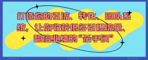 打造你的引流、转化、团队系统，让你收获很多引爆流量、翻倍业绩的“杀手锏”-沐风资源库
