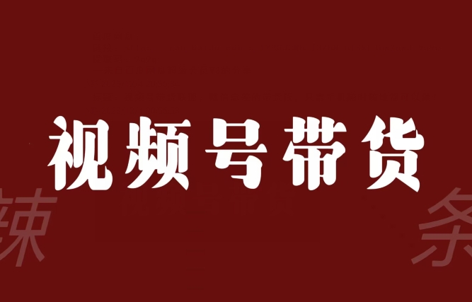 视频号带货联盟,赚信息差的带货钱,只需手机随时随地都可以做!-沐风资源库