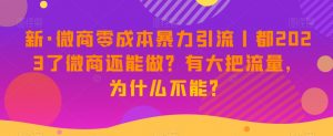新·微商零成本暴力引流丨都2023了微商还能做？有大把流量，为什么不能？-沐风资源库