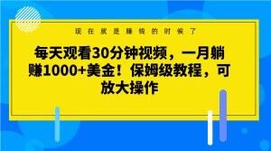每天观看30分钟视频，一月躺赚1000+美金！保姆级教程，可放大操作【揭秘】-沐风资源库