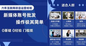 新媒体账号批发，操作极其简单，0基础0经验门槛低【揭秘】-沐风资源库