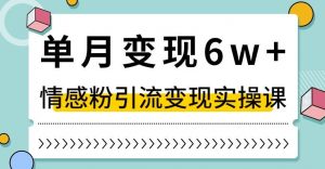 单月变现6W+，抖音情感粉引流变现实操课，小白可做，轻松上手，独家赛道【揭秘】-沐风资源库