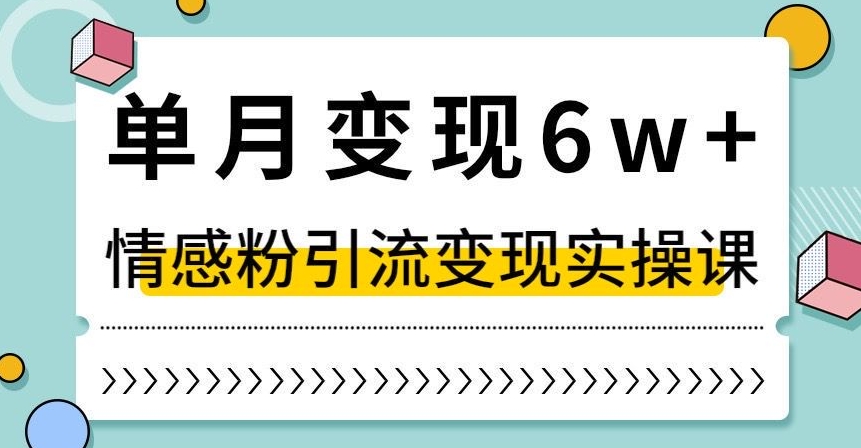 单月变现6W+，抖音情感粉引流变现实操课，小白可做，轻松上手，独家赛道【揭秘】-沐风资源库