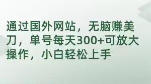 通过国外网站，无脑赚美刀，单号每天300+可放大操作，小白轻松上手【揭秘】-沐风资源库