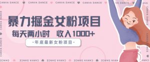年底暴力女粉掘金项目5天变现1.5W+【揭秘】-沐风资源库