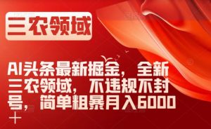 AI头条最新掘金，全新三农领域，不违规不封号，简单粗暴月入6000＋【揭秘】-沐风资源库