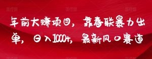 年前大赚项目，靠春联暴力出单，日入1000+，最新风口赛道【揭秘】-沐风资源库