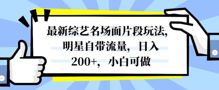最新综艺名场面片段玩法，明星自带流量，日入200+，小白可做【揭秘】-沐风资源库