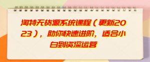 淘特无货源系统课程（更新2023），助你快速进阶，适合小白到资深运营-沐风资源库