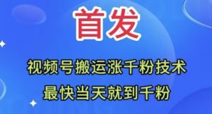 全网首发：视频号无脑搬运涨千粉技术，最快当天到千粉【揭秘】-沐风资源库