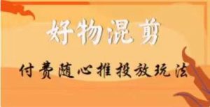 【万三】好物混剪付费随心推投放玩法，随心投放小课抖音教程-沐风资源库