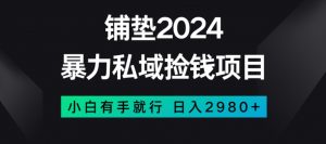 暴力私域捡钱项目，小白无脑操作，日入2980【揭秘】-沐风资源库