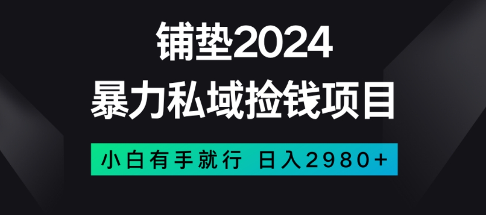 暴力私域捡钱项目，小白无脑操作，日入2980【揭秘】-沐风资源库