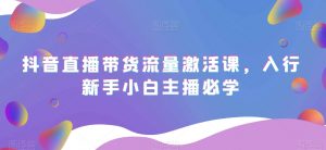 抖音直播带货流量激活课，入行新手小白主播必学-沐风资源库