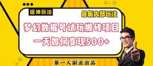 数据号回归玩法游戏试玩搬砖项目再创日入500+【揭秘】-沐风资源库
