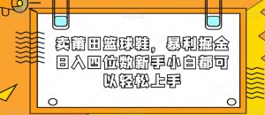 卖莆田篮球鞋，暴利掘金日入四位数新手小白都可以轻松上手【揭秘】-沐风资源库
